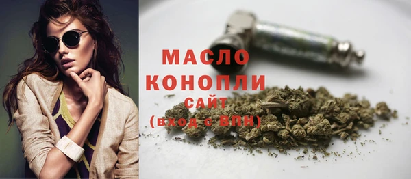 индика Переславль-Залесский