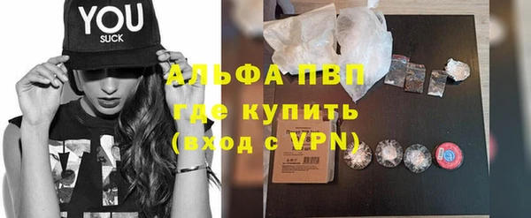 винт Пересвет