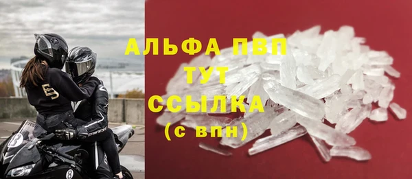 винт Пересвет