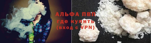индика Переславль-Залесский