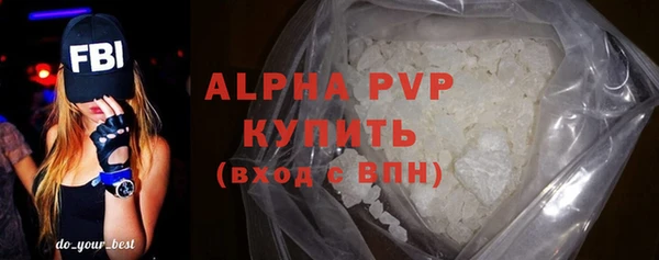винт Пересвет