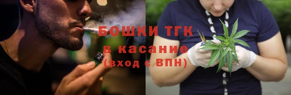 винт Пересвет
