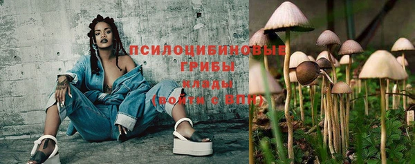 соль курить ск Пестово