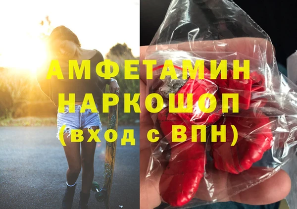 винт Пересвет