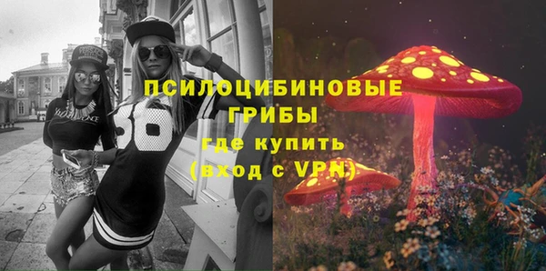 винт Пересвет