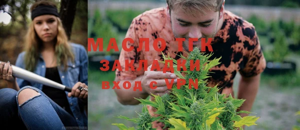 индика Переславль-Залесский