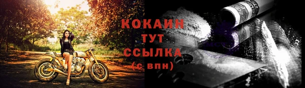 винт Пересвет